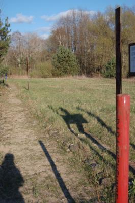 Hohes Gras auf dem Gelände des ehemaligen KZ Uckermark. Im Vordergrund eine rote Stange, die im Boden steckt.